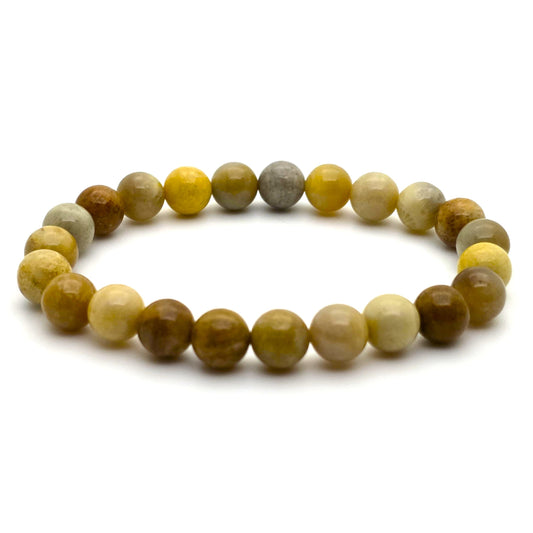 Fossil Coral Bracelet